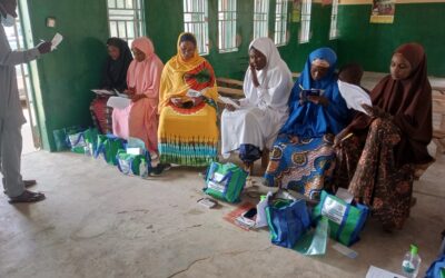 USAID DIV and Dimagi Partner to Enhance Child Health Interventions in Northern Nigeria